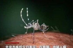 北京还有病毒感染没有，北京什么病毒感染