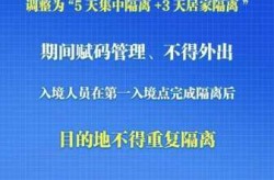 国家新冠疫情最新政策，新冠疫情下的国家政策