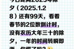 距离2025春节还有几天，距离2025年春节倒计时
