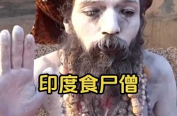 印度发现的变异毒株传入非洲（印度吃了屎的痢疾病毒）