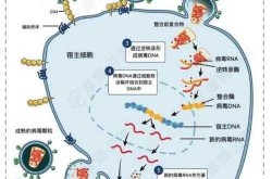 2024年6月流行病毒，2024年流行的病毒叫什么