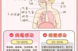 呼吸道合胞病毒感染症状，呼吸道合胞病毒是什么引起的