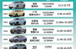 纯电动汽车排名及价格一览，纯电动汽车性价比排名