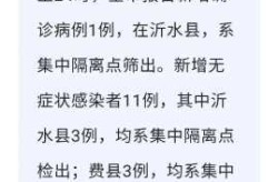 临沂新增疫情最新消息，新增疫情最新消息
