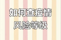 疫情风险等级查询软件，全国疫情风险等级查询