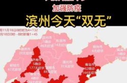 山东疫情最新消息分布图地图（山东最近病毒最新消息）