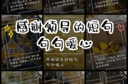 疫情期间给领导的暖心话，感谢领导的一句话暖心