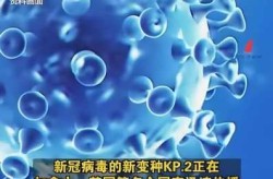 最新新冠病毒消息全球，近日新冠病毒最新情况