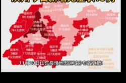 疫情地图实时更新山东，山东最新疫情最新消息实时情况