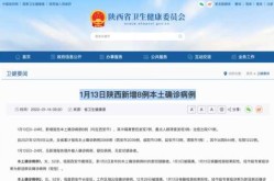 陕西新增确诊病例详情公布，陕西疫情最新新增病例是哪里