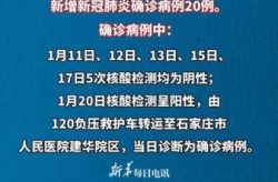 石家庄新增3例确诊病例，河北新增20例本土确诊病例