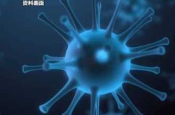 2024年7月新冠病毒，2023年新冠病毒