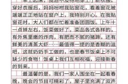 2020不一样的春节作文，2020不一样的春节文化作文