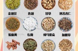 防瘟疫最好的一味中药，预防瘟疫的中药配方
