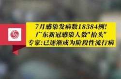 2024年8月新冠高峰，2024年1月新冠高峰