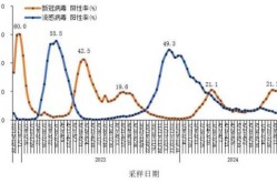 2024国内疫情最新消息，国内疫情最新消息