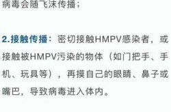 偏肺病毒属于传染病吗，儿童偏肺病毒传染不