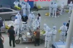 山东昨日新增本土确诊4例是哪里的，山东新增20例本土确诊