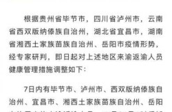 重庆返乡人员最新通知，重庆对返渝人员最新规定