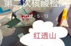 2024年重启核酸检测吗，2024年核酸检测