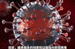 新型冠状病毒不免费了，新型冠状病毒传染来源