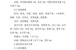 2024流感诊疗指南最新版，流感诊疗方案2025版详解