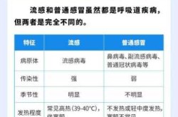 七月份是流感高发季节吗，几月是流感高发期