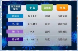 2023最新变异毒株名字，2023毒株名称