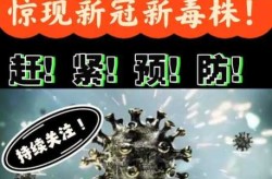 上海最新疫情毒株是什么，上海新冠病毒什么时候开始的