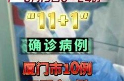 厦门今日疫情最新情况，今天疫情最新消息厦门