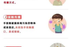 临沂发现新型冠状病毒，新型冠状病毒怎么引起的