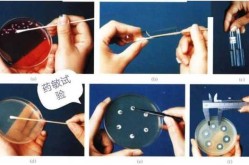 金准医学检验实验室电话，金匙医学检验实验室