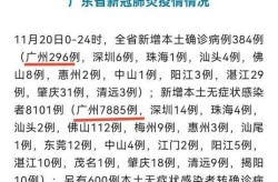 2020年11月24疫情，2020年11月疫情情况