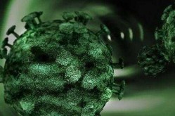 超级病毒症传到中国了吗，中国超级病毒实验室