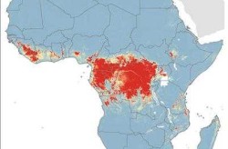 埃博拉疫情爆发高风险区分布面积最大的气候类型是（2019埃博拉疫情）
