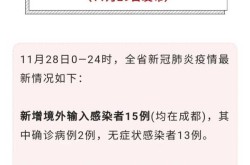 新型冠状病毒最新报告，新冠病毒最新消息今天