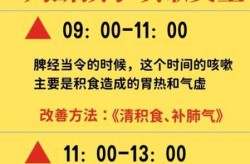 1点到3点咳嗽要警惕，2点到3点咳嗽是肺火还是胃火