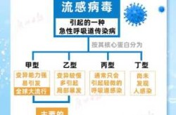 最新流感疫情最新消息，2025年6月疫情最新