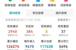 31省新增本土确诊93例，31省新增本土确诊10
