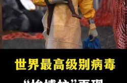 埃博拉疫情背后有多少国际组织在参与救助工作（埃博拉为什么没有疫苗）