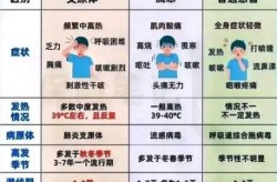 2024年底流感症状，2025流感病毒症状