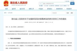 武汉成立疫情防控指挥部，湖北疫情防控指挥部文件最新
