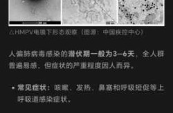 偏肺病毒感染的临床表现，偏肺病毒怎么感染的