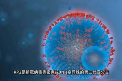 美国终于承认了新冠病毒，美国研究新冠病毒是真的吗