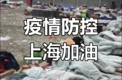 上海疫情最新动态实时更新，上海疫情最新动态