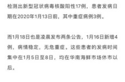 武汉新增17例本土无症状，武汉新增本土确诊病例