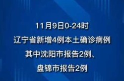 辽宁新增本土确诊45例最新消息，辽宁新增本土确诊详情