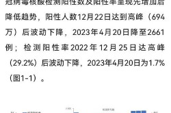 专家预测第二轮感染高峰，专家预测第二波感染高峰