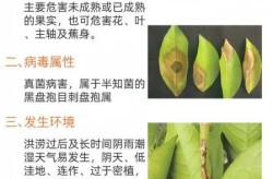 炭疽是什么类型的传染病，炭疽属于哪一类传染病