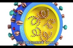 2025甲流爆发辽宁2月份，2025年2月甲流严重吗